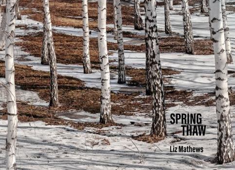 Paperback Spring Thaw Book