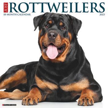 Calendar Just Rottweilers 2023 Wall Calendar Book