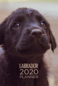 2020 Planner: Increase productivity, improve time management, reach your goals: Labrador Retriever: Modern artistic photography style