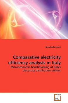 Paperback Comparative electricity efficiency analysis in Italy Book