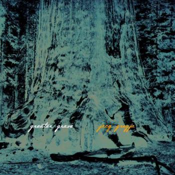 Paperback Greater Grave Book