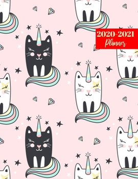 2020-2021 Planner: Nice 24 Months Calendar, 2 Year Appointment Calendar, Business Planners, Agenda Schedule Organizer Logbook and Journal