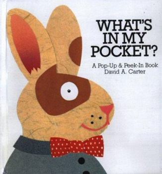 Hardcover What's in My Pocket? Book