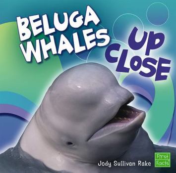Hardcover Beluga Whales Up Close Book