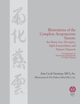 Paperback Illustrations of the Complete Acupuncture System: The Sinew, Luo, Divergent, Eight Extraordinary, Primary Channels and all their Branches Book