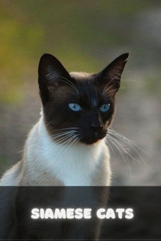 Paperback Siamese Cats: A Complete Guide Book