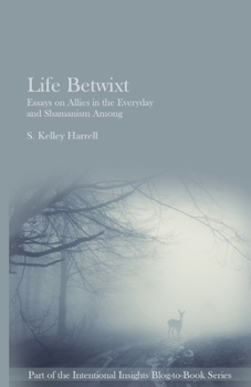 Paperback Life Betwixt: Essays on Allies in the Everyday and Shamanism Among Book