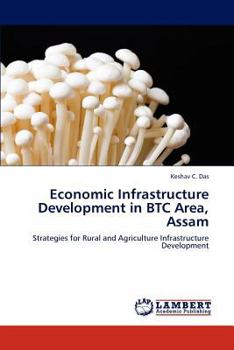 Paperback Economic Infrastructure Development in BTC Area, Assam Book