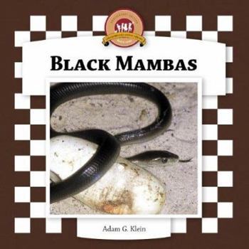 Black Mambas (Snakes Set II) - Book  of the Snakes