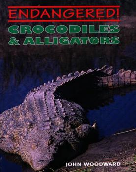 Hardcover Crocodiles & Alligators Book