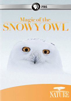 DVD Nature: Magic of the Snowy Owl Book