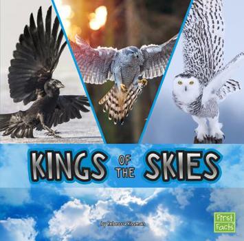 Hardcover Kings of the Skies Book
