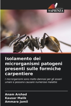 Paperback Isolamento dei microrganismi patogeni presenti sulle formiche carpentiere [Italian] Book