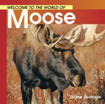 Paperback Welcome to the World of Moose Book