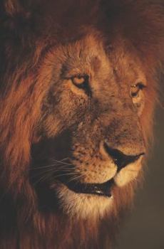 Paperback Bierton Strict and Particular Baptists: Set for a Defence and Confirmation of the Gospel Book