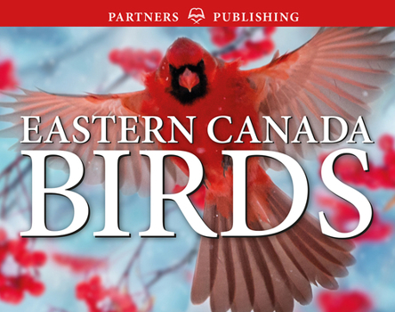 Paperback Eastern Canada Birds: Pocket Guide Book