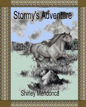 Paperback Stormy's Adventure Book