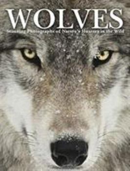 Hardcover Wolves Book