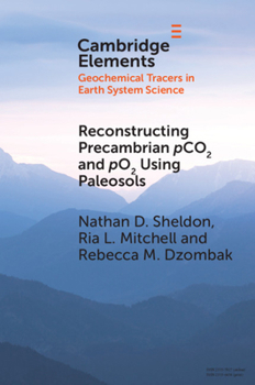 Paperback Reconstructing Precambrian pCO2 and pO2 Using Paleosols Book