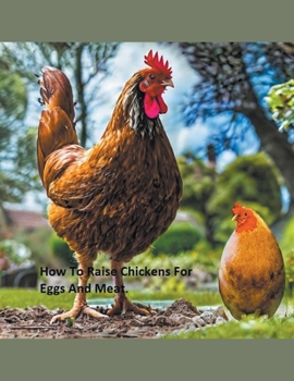 Paperback How to Raise Chickens For Eggs and Meat Book