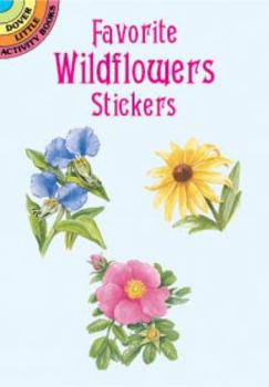 Paperback Favorite Wildflowers Stickers Book