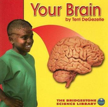Paperback Your Brain (Your Body) Book