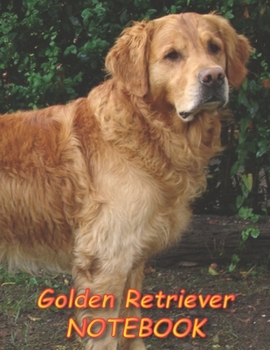 Paperback Golden Retriever NOTEBOOK: Dog Notebooks and Journals 110 pages (8.5"x11") Book