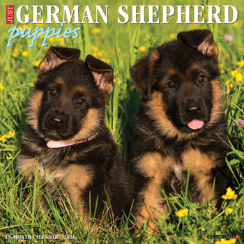 Calendar German Shepherd Puppies 2026 12 X 12 Wall Calendar Book