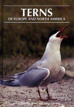 Hardcover Terns of Europe and North America Book