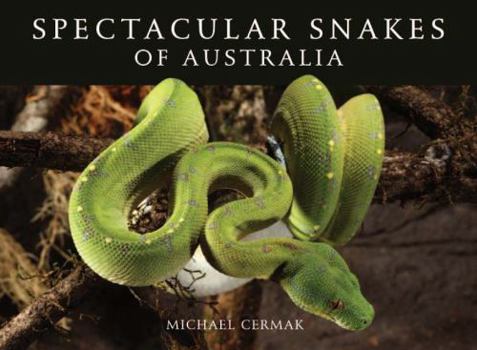 Paperback Spectacular Snakes of Australia Book