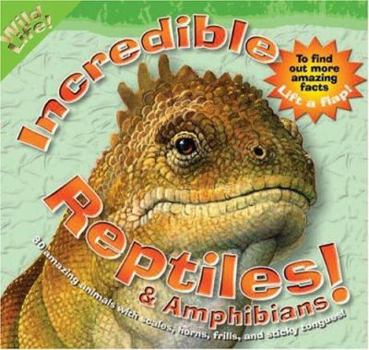Spiral-bound Incredible Reptiles and Amphibians Book
