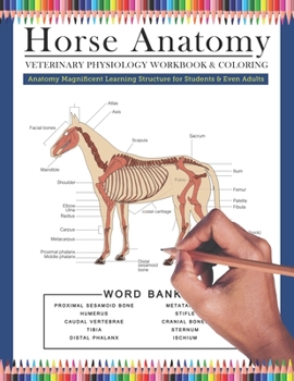 Paperback Horse Anatomy Veterinary Physiology Workbook and Coloring Anatomy Magnificent Learning Structure for Students & Even Adults Book