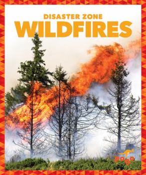 Hardcover Wildfires Book