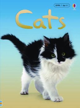 Cats (Usborne Beginners, Level 1) - Book  of the Usborne Beginners