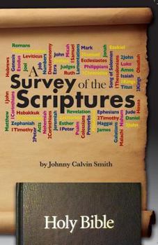 Paperback A Survey of the Scriptures Book