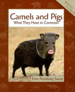 Library Binding Camels and Pigs Book