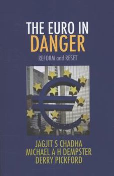 Paperback The Euro in Danger Book