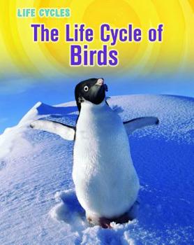 Paperback The Life Cycle of Birds Book