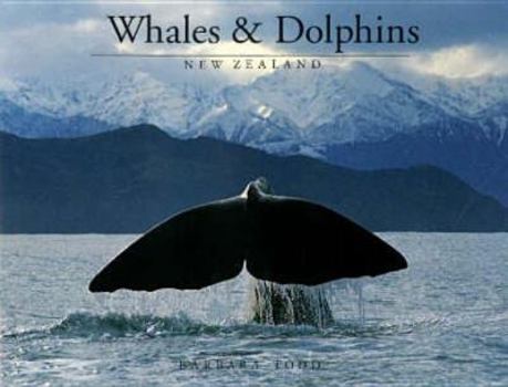 Paperback Whales & Dolphins, Kaikoura, New Zealand Book