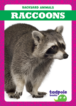 Paperback Raccoons Book