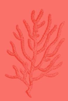 Paperback Creative Monthly Planner: Let Your Imagination Unfurl - Coral, Undated 18 Months Agenda with Dot Grid, Graph Paper and Half-College Ruled Half-B Book