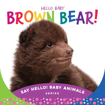 Board book Hello Baby Brown Bear! Book