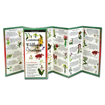 Misc. Common Wildflowers of the Northeast Book