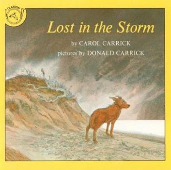 Paperback Lost in the Storm Book