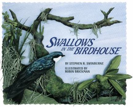 Paperback Swallows in the Birdhouse Book