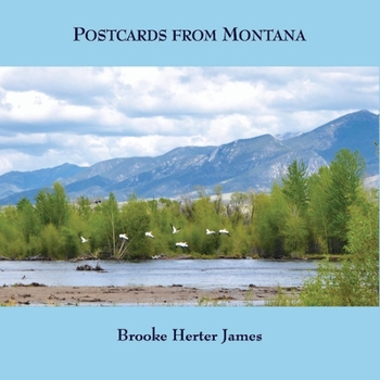 Hardcover Postcards from Montana Book