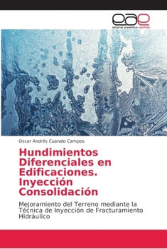 Paperback Hundimientos Diferenciales en Edificaciones. Inyección Consolidación [Spanish] Book