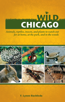 Paperback Wild Chicago: Animals, Reptiles, Insects, and Plants to Watch Out for at Home, at the Park, and in the Woods Book