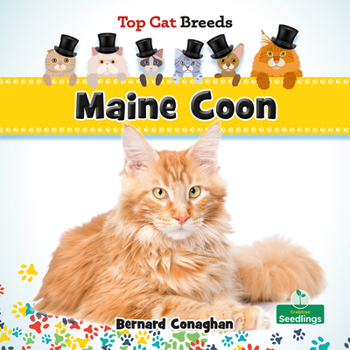Paperback Maine Coon Book