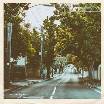 Vinyl Second Home Book